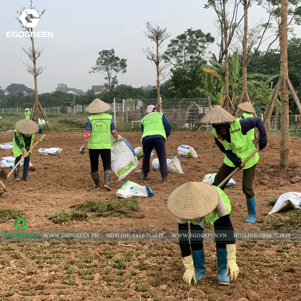 EGOGREEN báo giá minh bạch và đúng khối lượng công việc cho từng dự án.